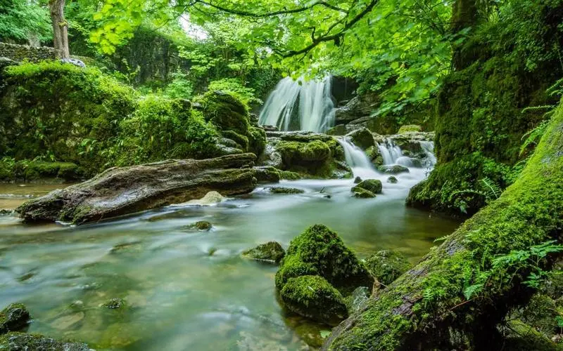 高标准电子智能